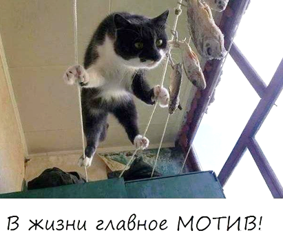 В жизни главное мотив!