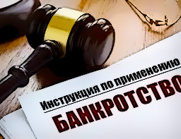 инструкция по банкротству