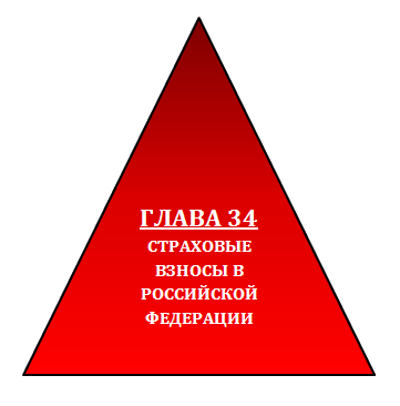 Глава 2.1. Страховые взносы в РФ