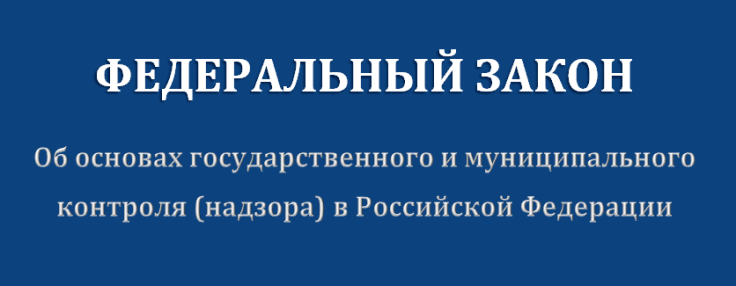 Государственный и муниципальный надзор