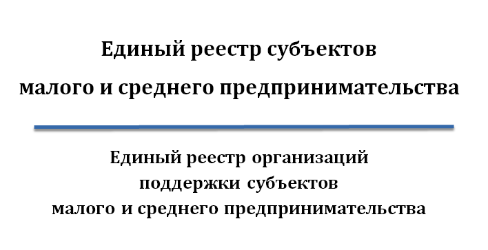Единый реестр организаций инфраструктуры поддержки субъектов МСП